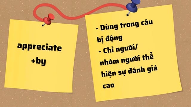Cụm giới từ “appreciate by” thường được dùng ở câu bị động